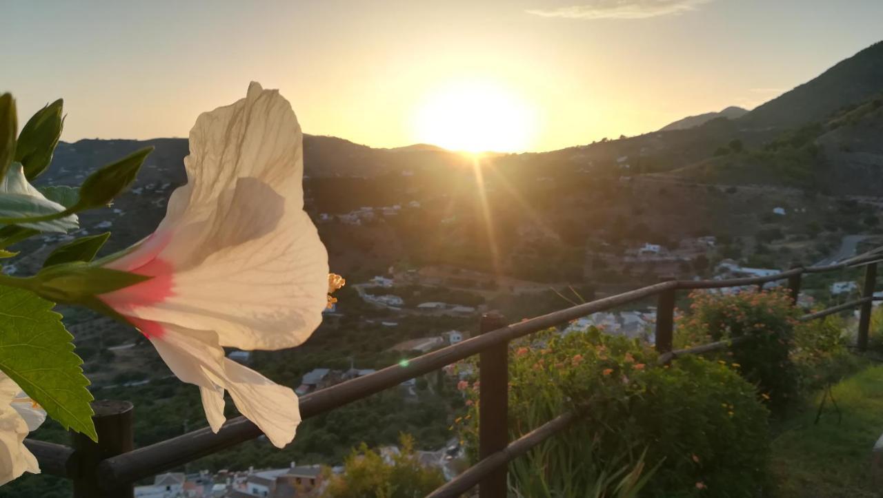 Casa Ana, Fantasticas Vistas A Frigiliana, El Mar Y La Montana 빌라 외부 사진