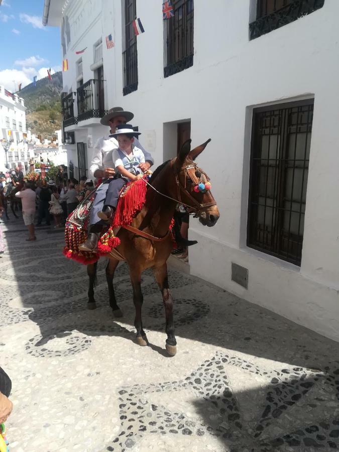Casa Ana, Fantasticas Vistas A Frigiliana, El Mar Y La Montana 빌라 외부 사진