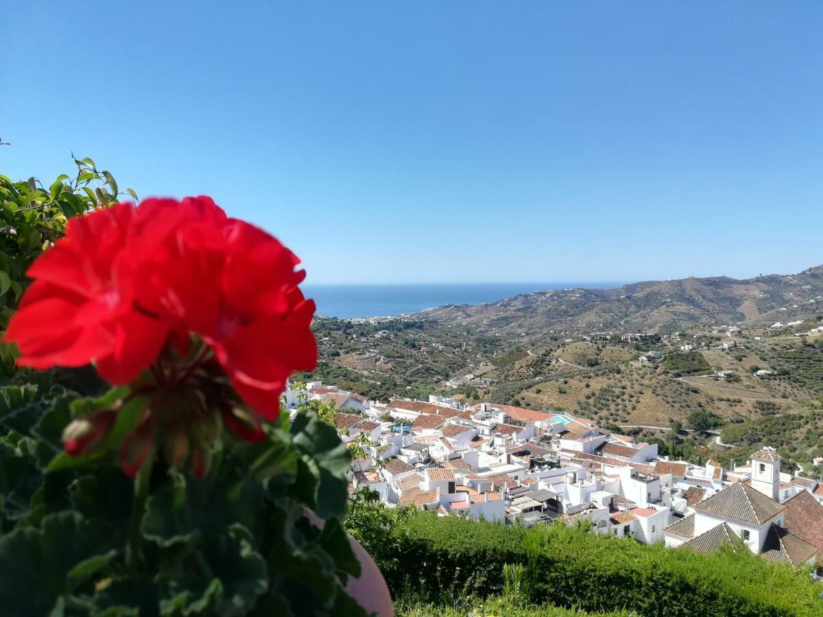 Casa Ana, Fantasticas Vistas A Frigiliana, El Mar Y La Montana 빌라 외부 사진