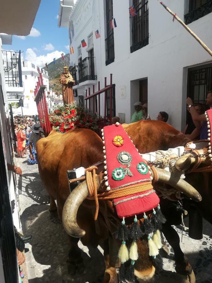 Casa Ana, Fantasticas Vistas A Frigiliana, El Mar Y La Montana 빌라 외부 사진